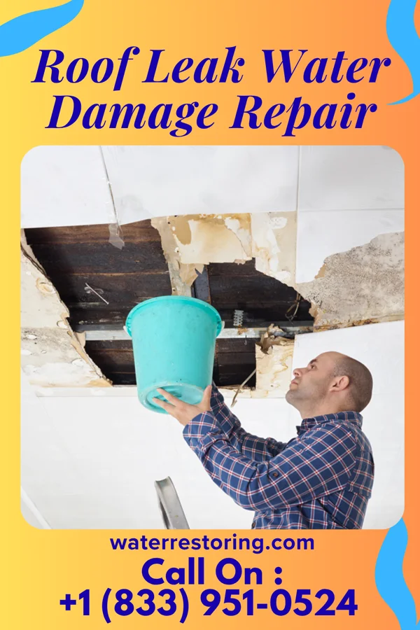 Roof Leak Water Damage Repair in Norton, KS